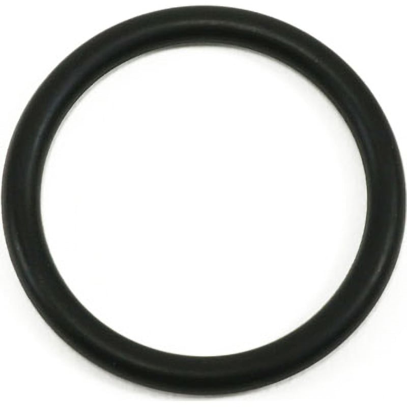 アズワン パーフロＯリング８００５-Ｐ３０ キング パーフロOリング 20.8⁄2.4 8001-P21 1個 6-8065-16（直送品