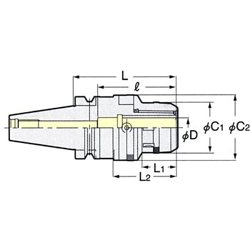 NBT30-CZF20-100 2LOCKゼロフィット型ミーリングチャック 1個 日