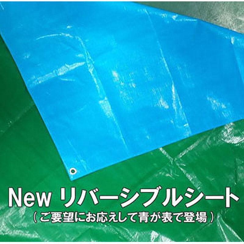 30010511 景観に合わせてカラーが選べる!ブルーシート #3000規格