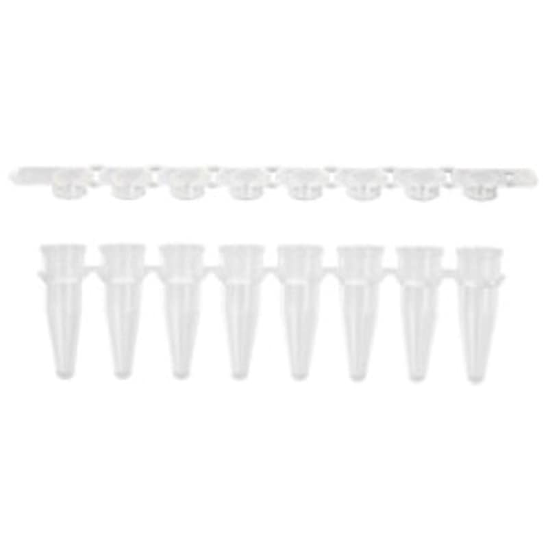 PCR-0208-FCP-C PCR8連チューブ AXYGEN 0.2mL