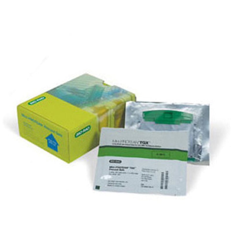 4561106 ミニプロティアンTGXゲル 8-16% BIORAD 冷蔵 種別15well