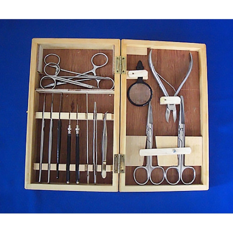 550015 解剖セット 1セット 野中理化器製作所 【通販モノタロウ】