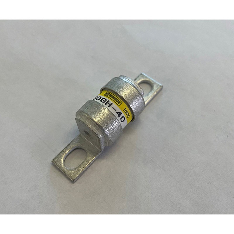 250GH-40 速断ヒューズ 250GHシリーズ Hinode Electric Co Ltd 種別