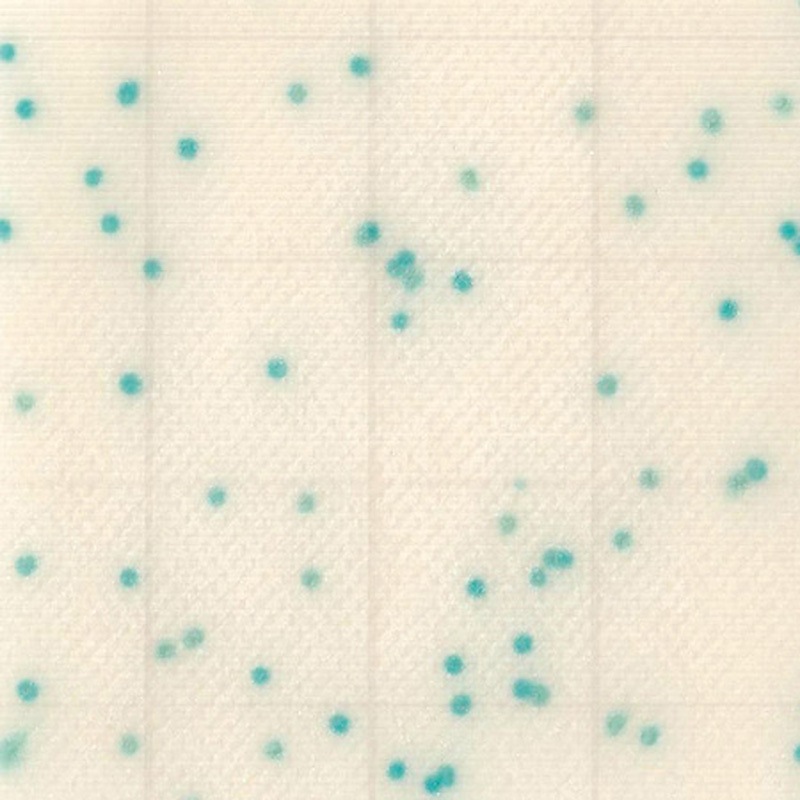 大腸菌群用 改 MC-Media Pad(TM) (サニ太くん(R)) JNC 冷蔵