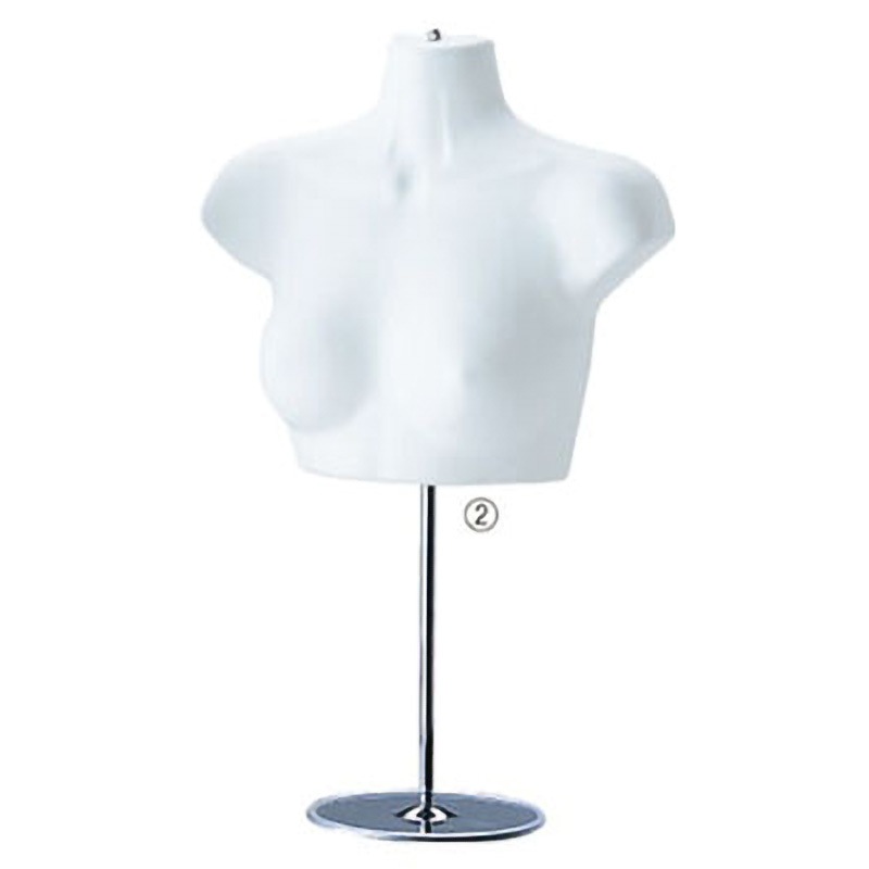 前面ハーフトルソー 6点セット 前面ハーフトルソー 6点セット ハーフ