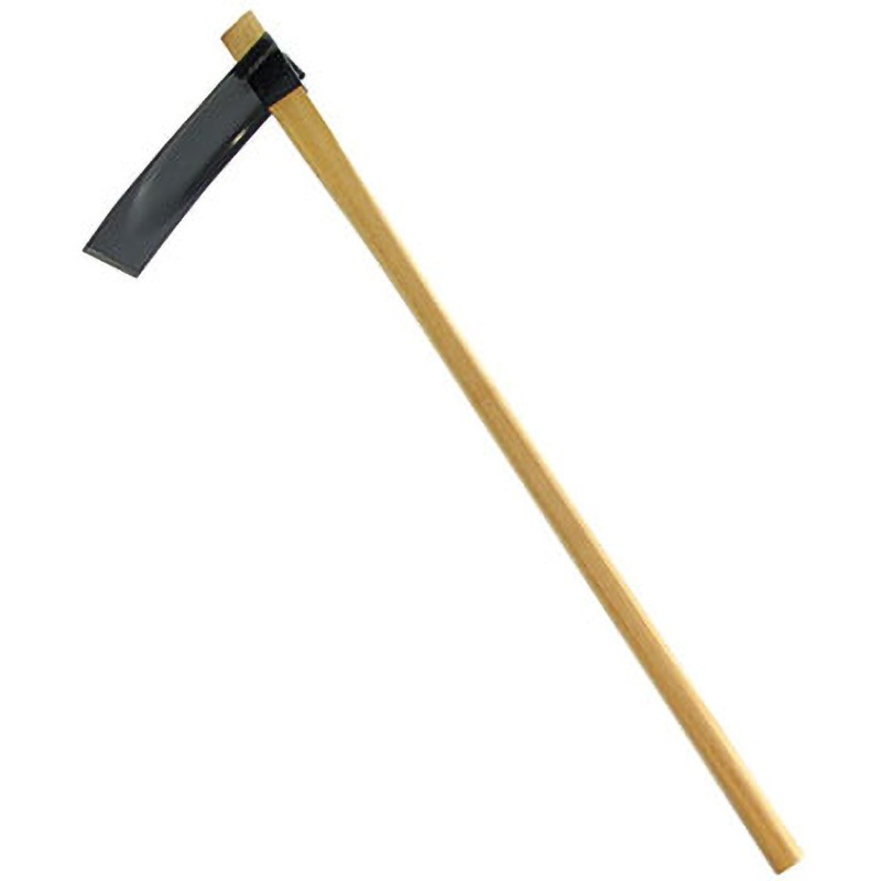 雨*庭様 ❤️大株❤️6号❤️葉33cm❤️葉茎