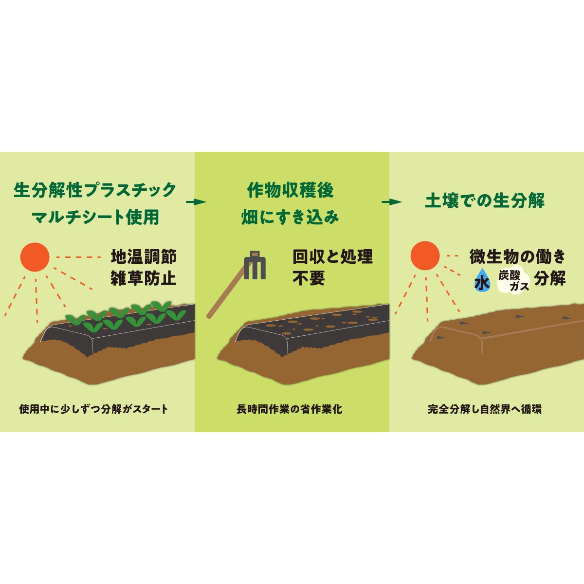 MS-64BK10 生分解性マルチシート NINJA オーミヤ 幅95cm長さ10m 1枚 MS