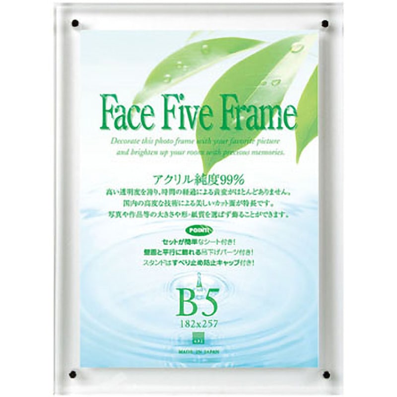 30736671 フェイスファイブフレーム APJ(アートプリントジャパン