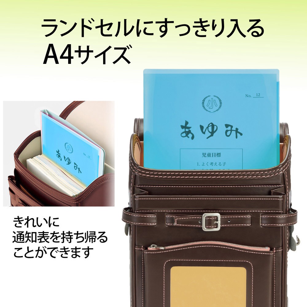 FL-190SF(79721) クリアホルダー 通知表ホルダー PLUS(プラス)[文具