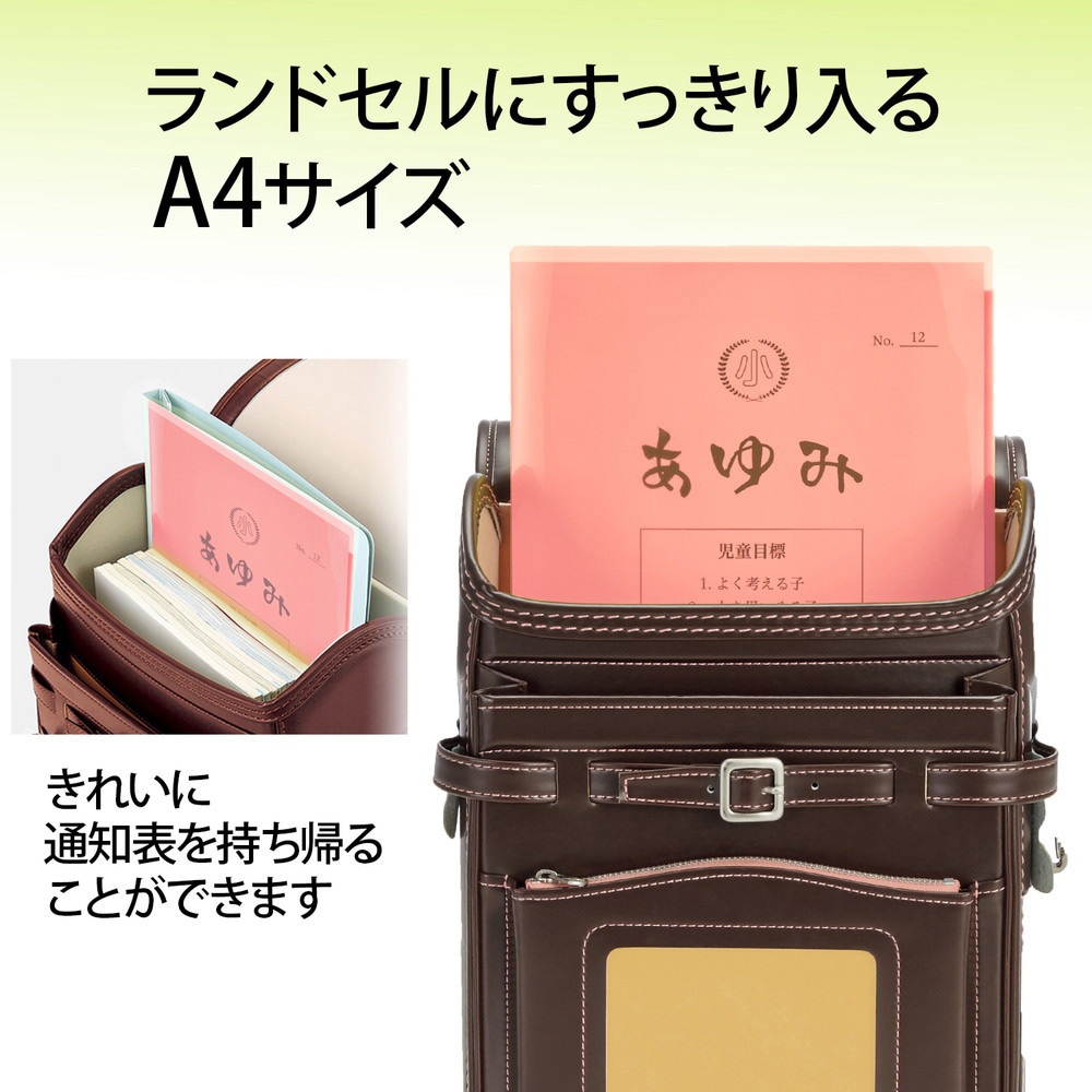 FL-190SF(79723) クリアホルダー 通知表ホルダー PLUS(プラス)[文具