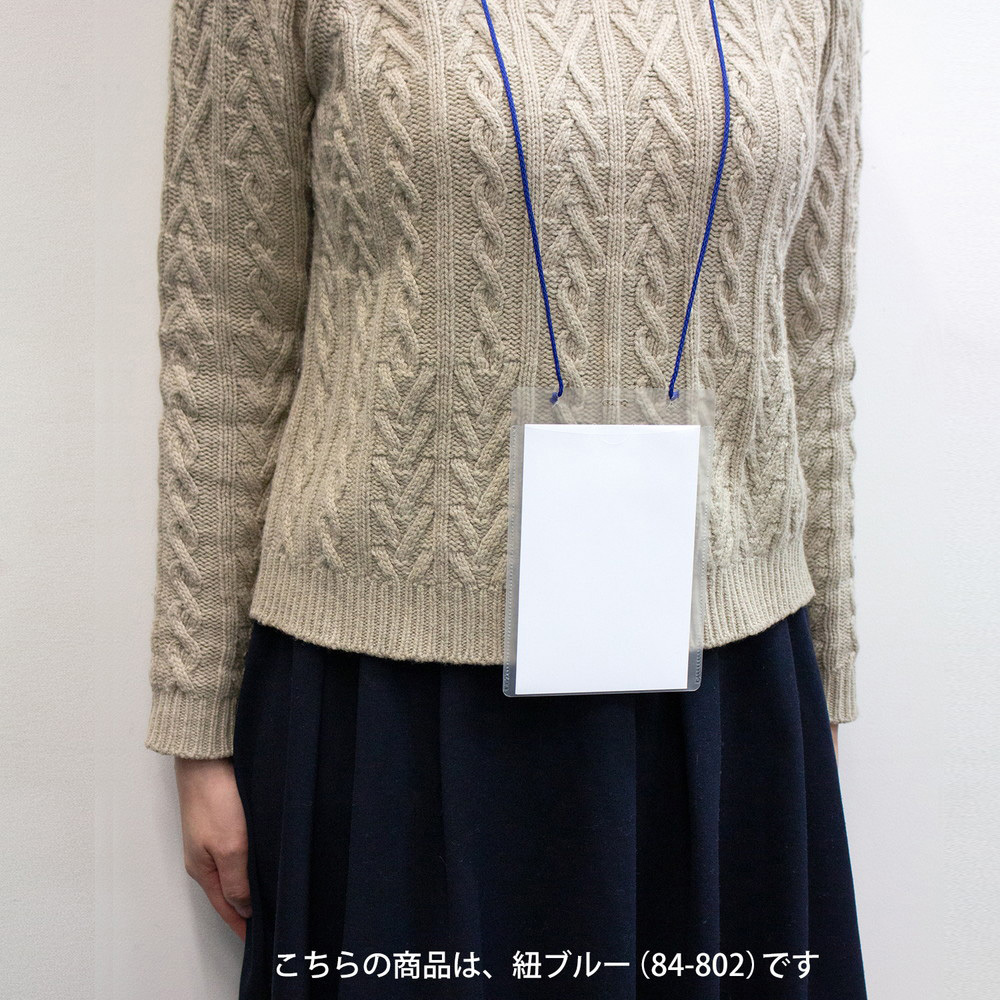 CT-E2(84802) 名札 ネームタッグ 吊り下げ式 イベント用 はがきサイズ