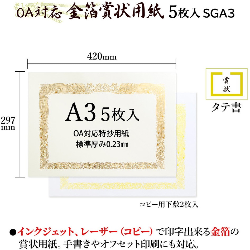 年中無休】 業務用200セット オキナ OA対応辞令 賞状用紙 B5 10枚 21