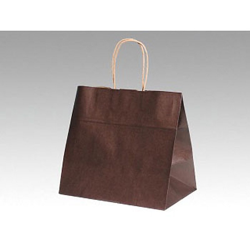 ‐ ファンシーバッグ パックタケヤマ ショコラ色 サイズM 1ケース(50枚×4袋)