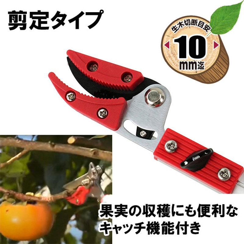 EGLP-1 伸縮式高枝切鋏(鋸付き) 1本 E-Value 【通販モノタロウ】