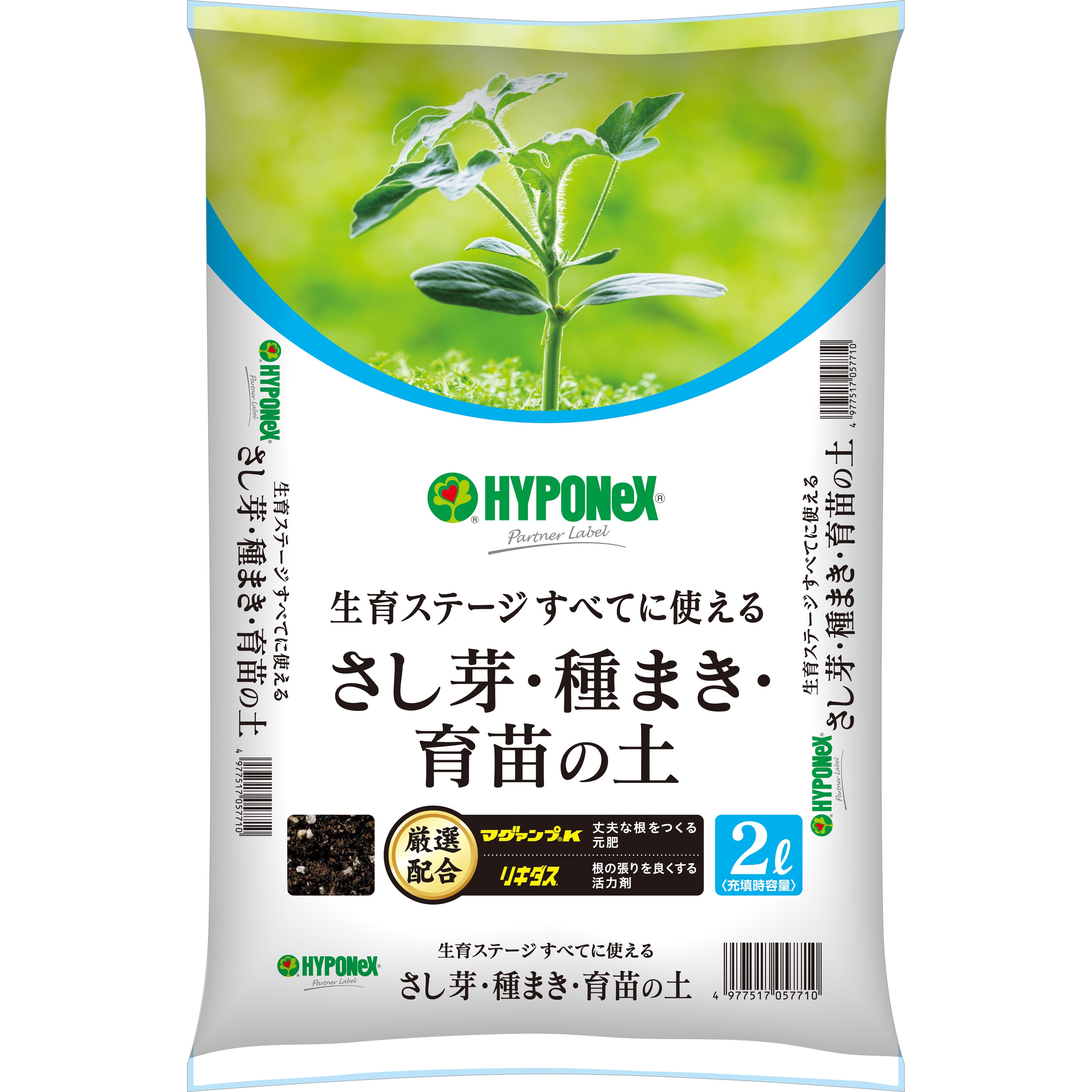 まさき様専用 ネリネ ピンク 球根 葉付き抜き苗 薄