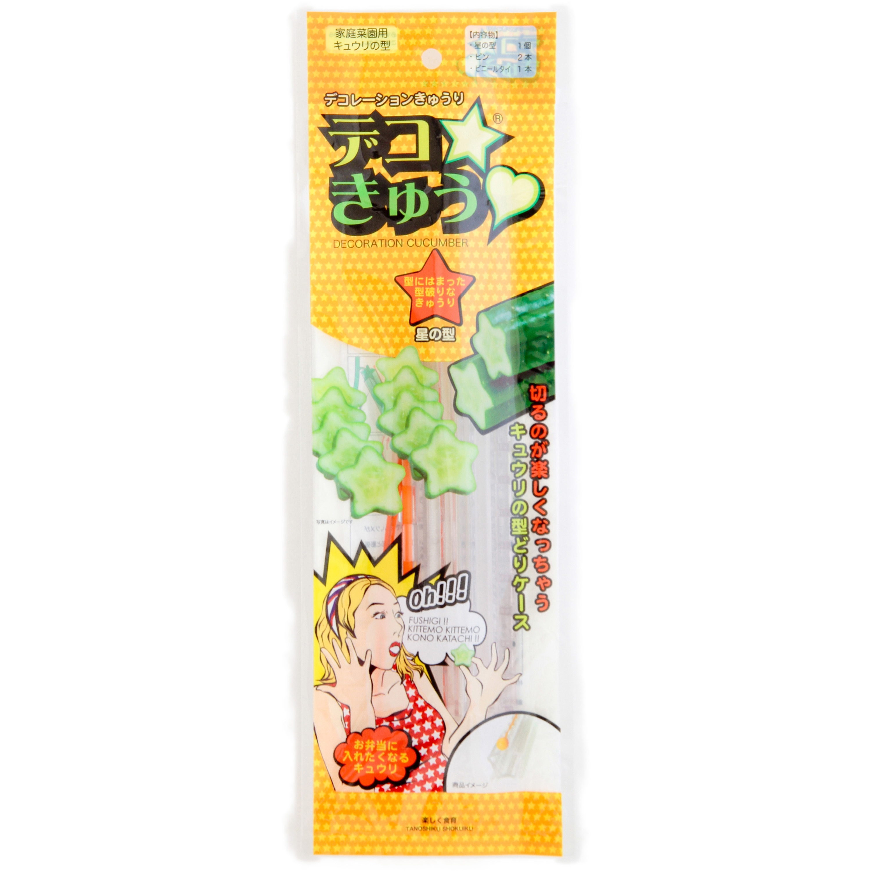 きゅうりのからし漬けの素 90g×12袋（レターパック便
