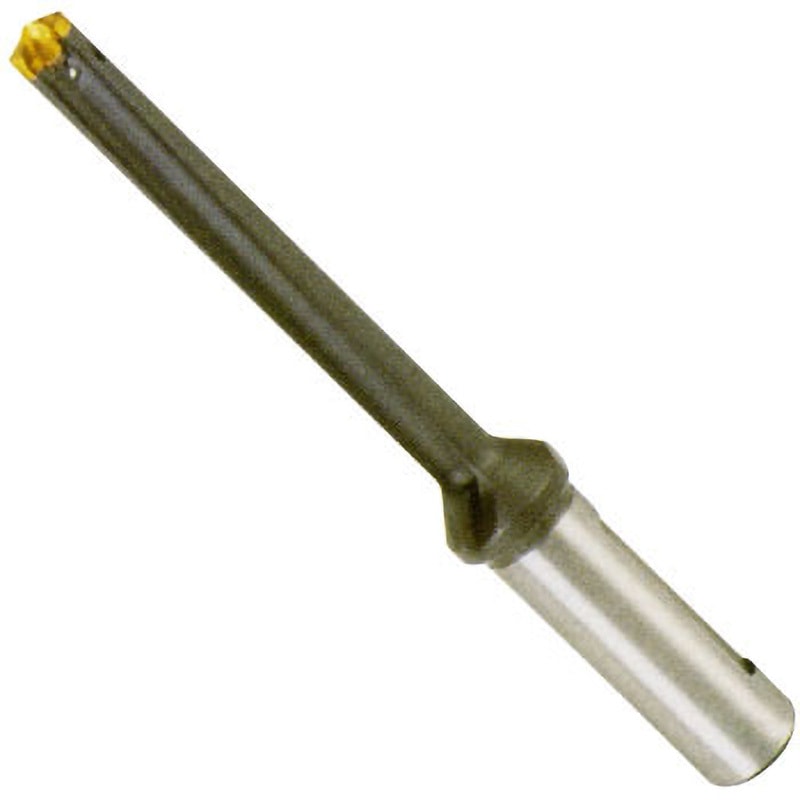 DCM 220-176-25A-8D ホルダ DCM イスカル 刃先径22.0-22.9mm有効長176mm 1個