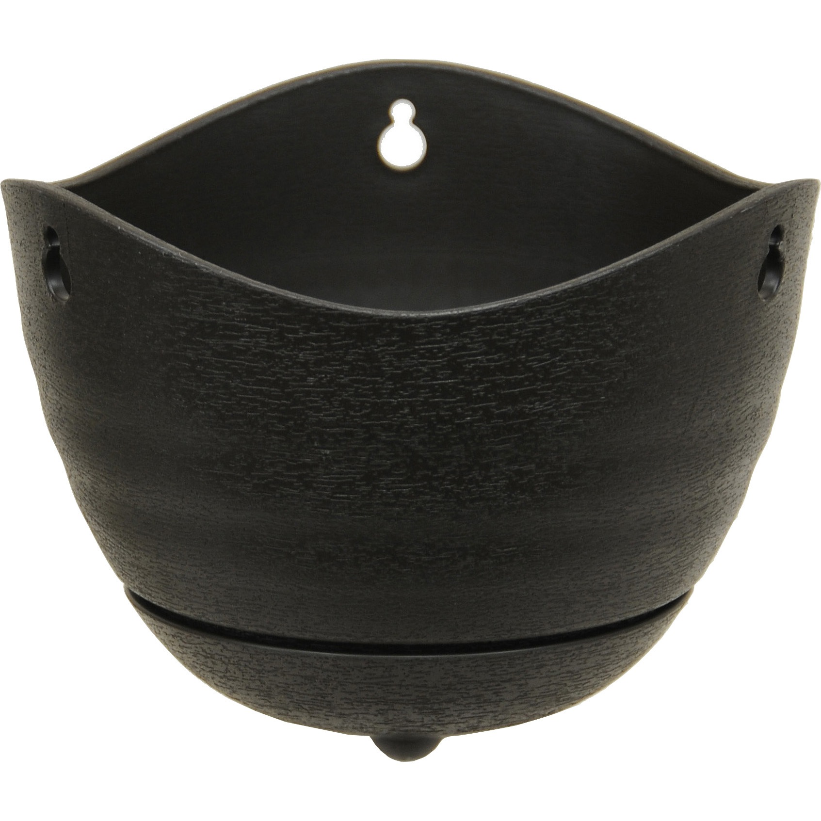 特大 ホヤ hoya グラブラ 8号 吊り鉢