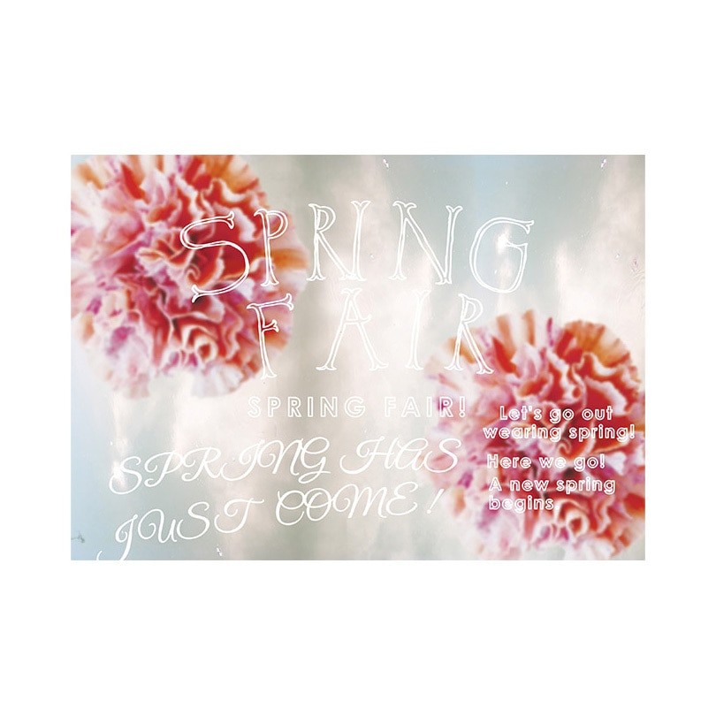 C-1-l-00010 カーネーション スプリングフェア ポップ・ポスター おしゃれEXPO サイズA0幅1189mm長さ841mm  C-1-l-00010 5,298円