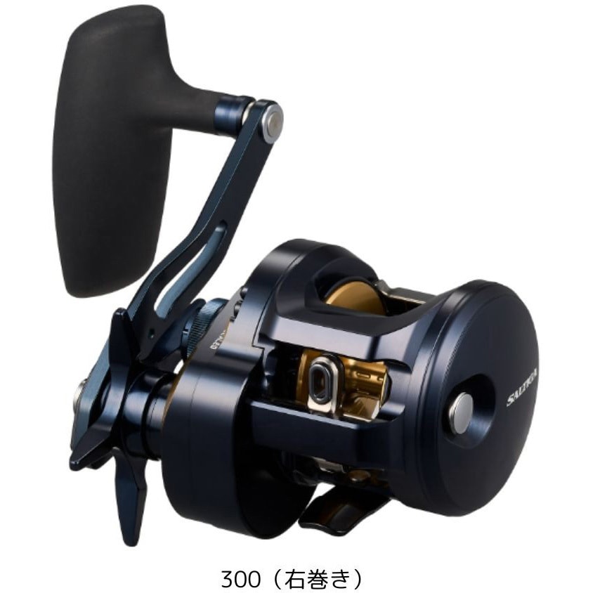 300(右巻き) 25 ソルティガ 1個 DAIWA(ダイワ) 【通販モノタロウ】
