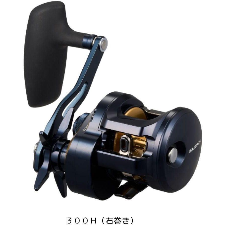300H(右巻き) 25 ソルティガ 1個 DAIWA(ダイワ)[船舶用品・漁業資材
