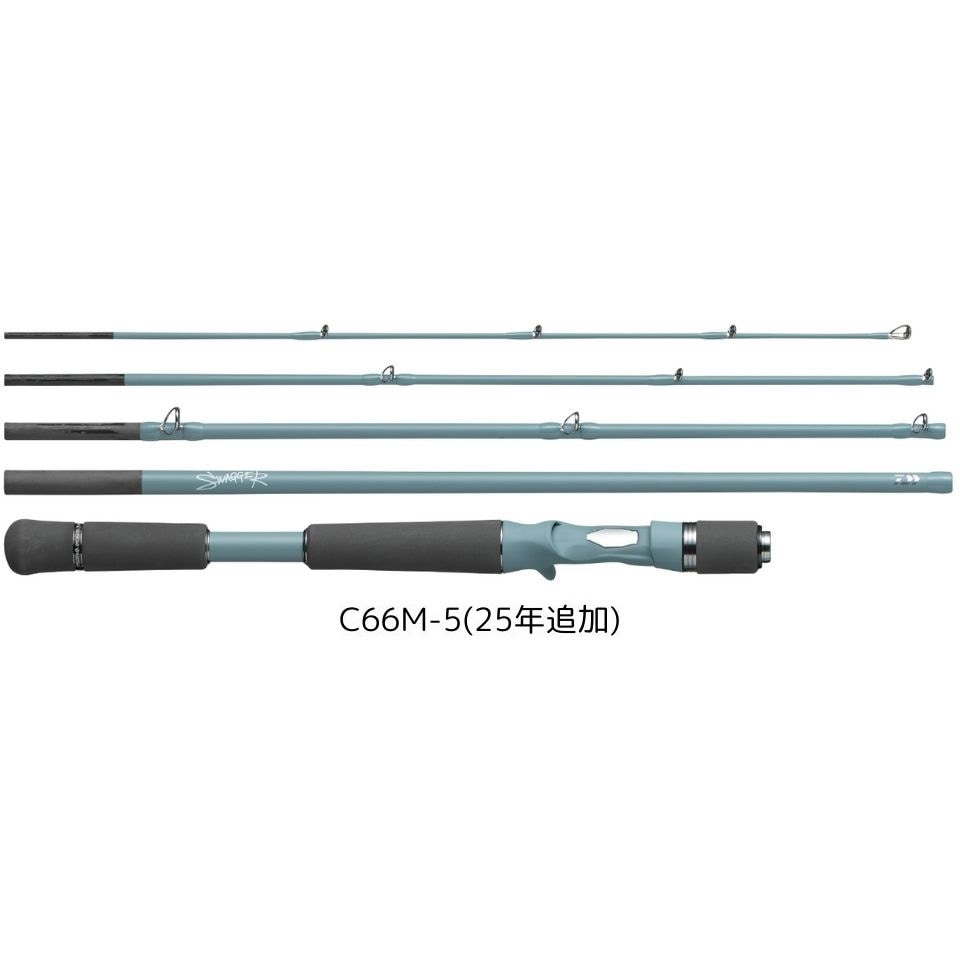 ダイワ スティーズ ベイトキャスティングモデル C66M / バス