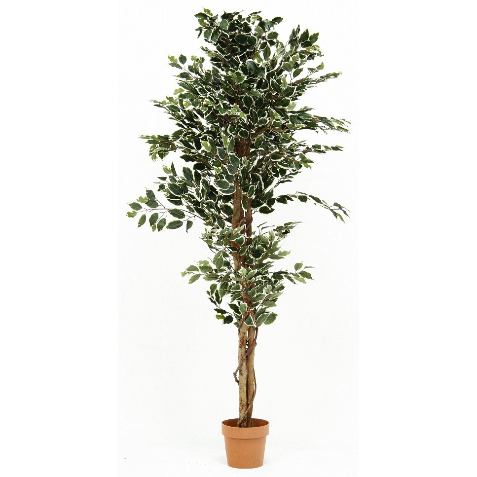 観葉植物 神戸花物語 フェイクグリーン 観葉植物 人工 大型 光触媒 消臭 造花