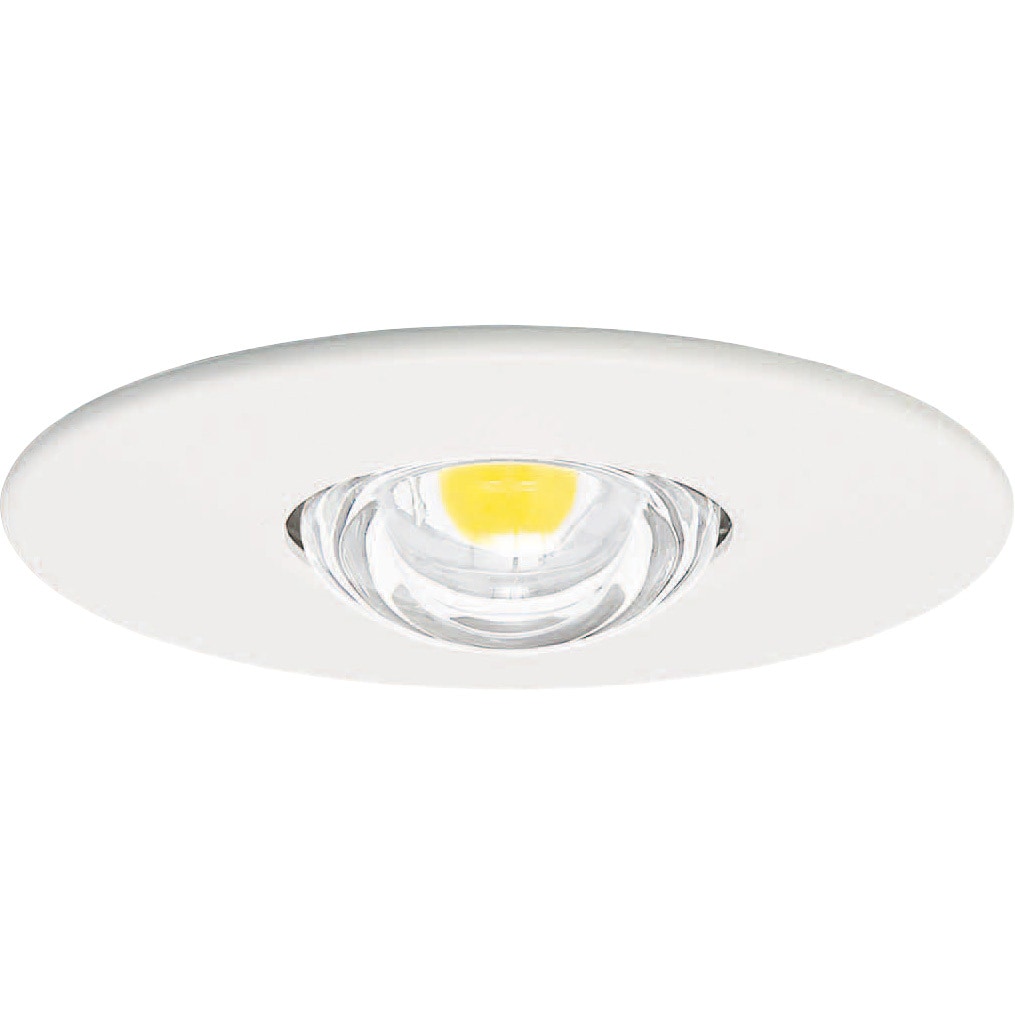 【中古】 Panasonic 非常用照明器具 LED 昼白色 NNFB84665 - 天井照明