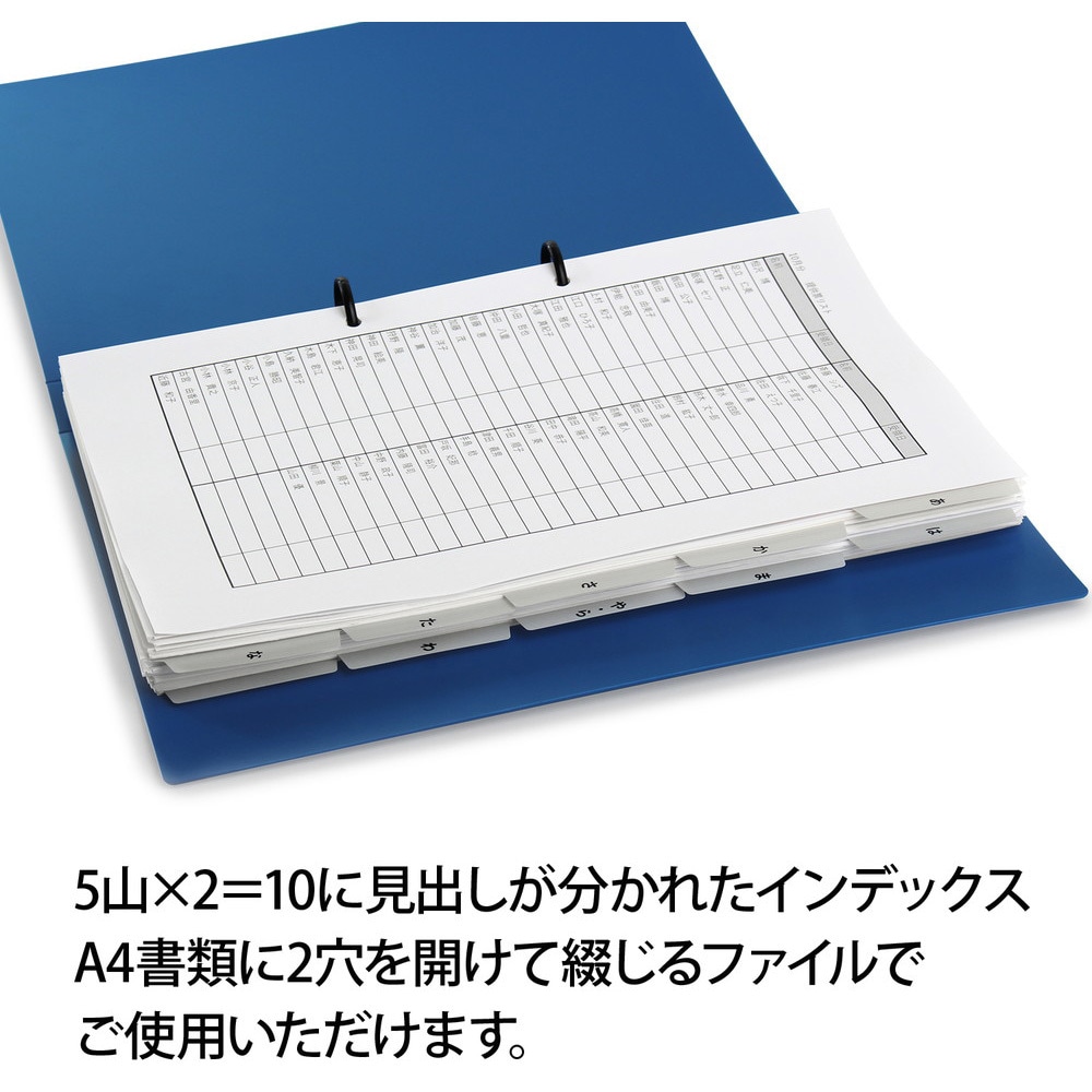 本がけ FL-807IS(98079) たすけあ インデックス 1セット PLUS(プラス