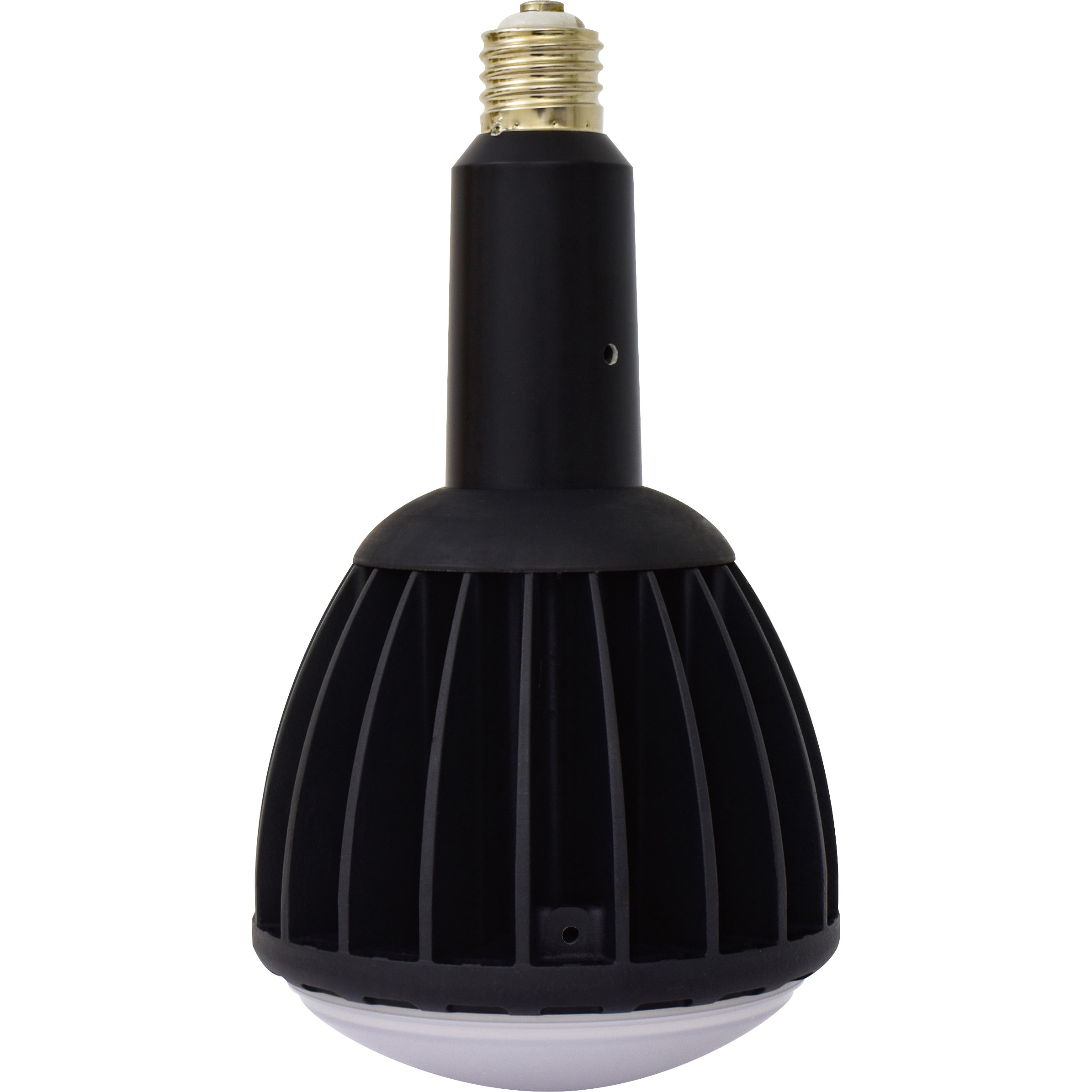 L100W-E39J-WBK-50K LED交換球 エコビック100W 1個 日動工業 【通販