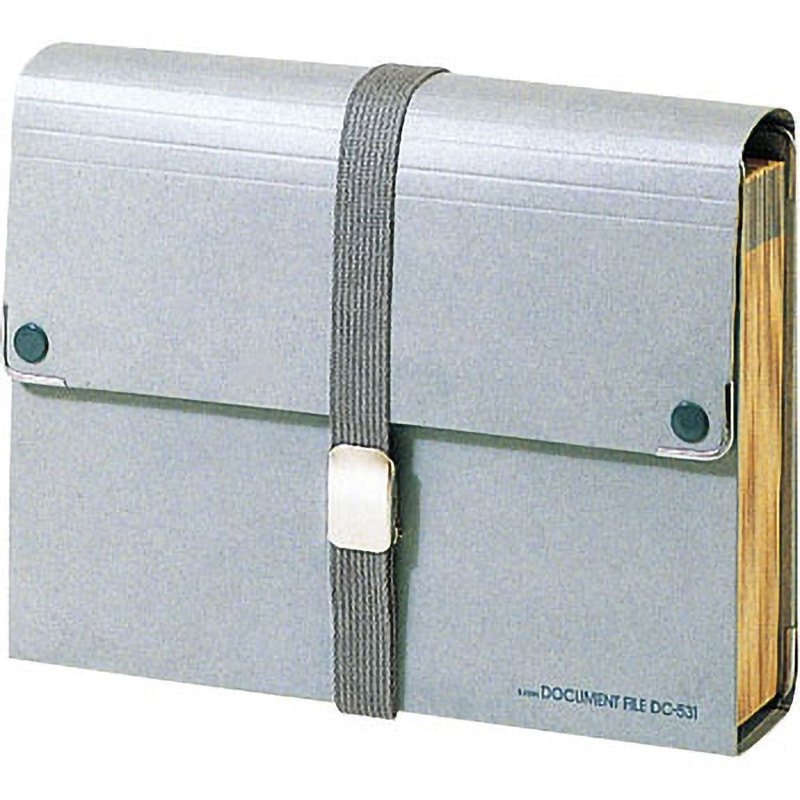 DC-531 デザインケース LION (ライオン事務器) A4判サイズ DC