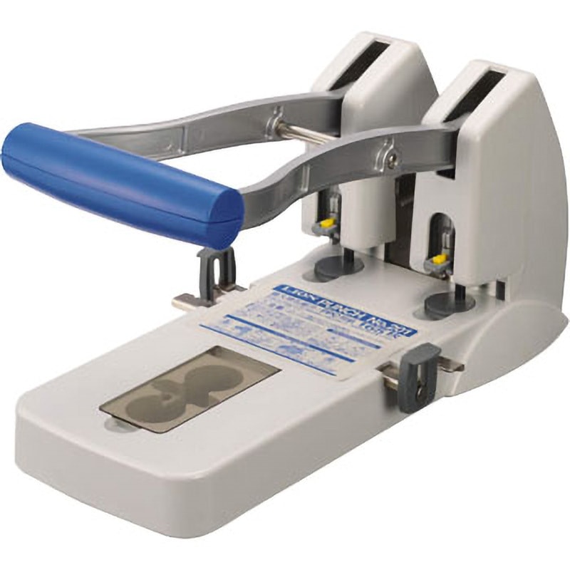 すー アーバンリバー・フーンシキ 親株 veitchii auburn river 子株