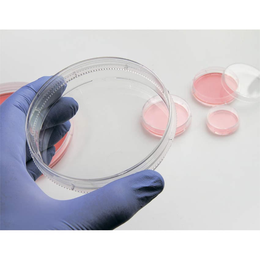 waracuda様 150460 イージーディッシュ NUNC(ヌンク) 容量3mL 1セット(500個