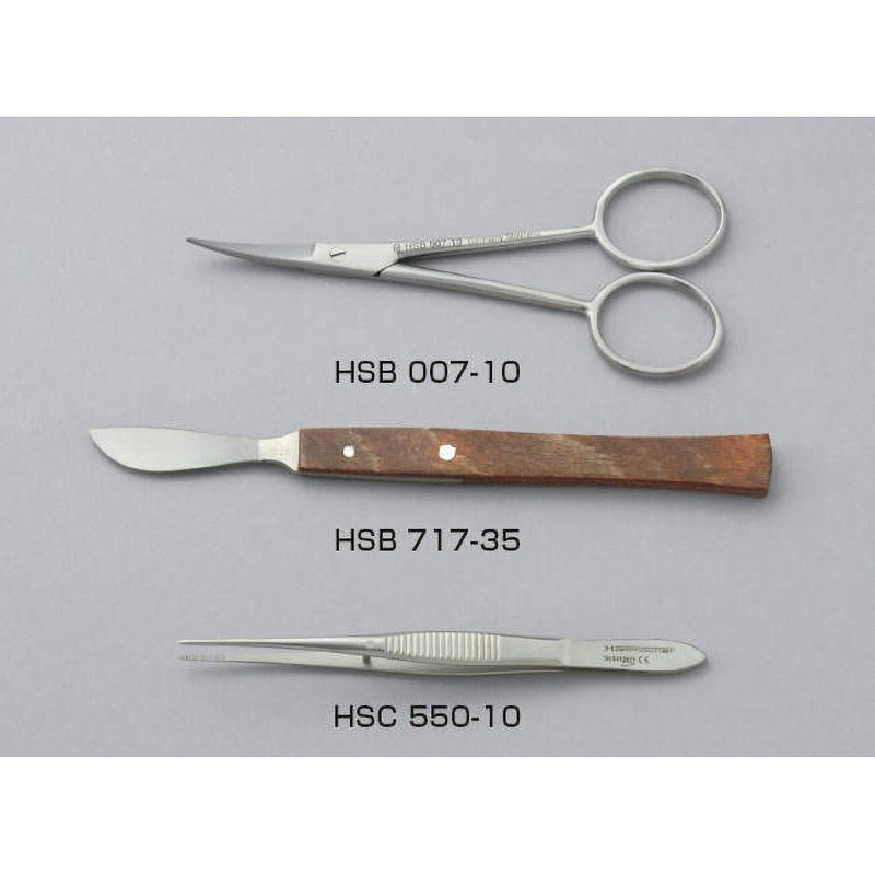 HSB 007-10 精密用ハサミ ハマー 反剪刀 両尖   HSB 007-10 9,198円