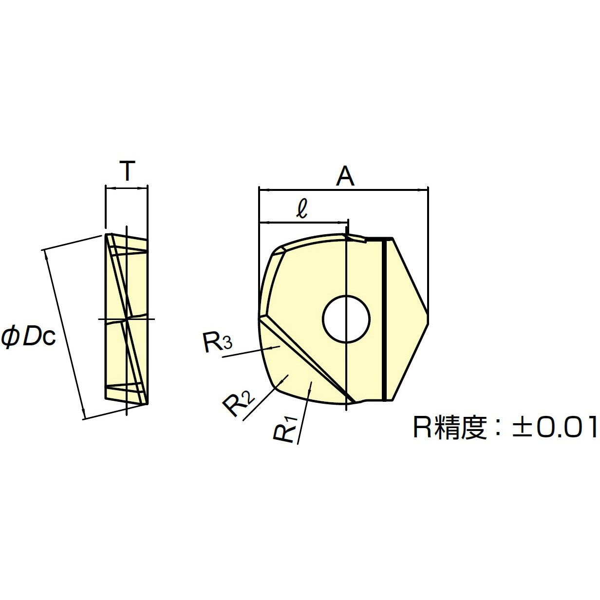 100%正規品 MOLDINO カッタインサート ZDHW200-T43R2-50 TH308 ZDHW200T43R250 1787723 ×2  送料別途見積り 法人 事業所限定 掲外取寄