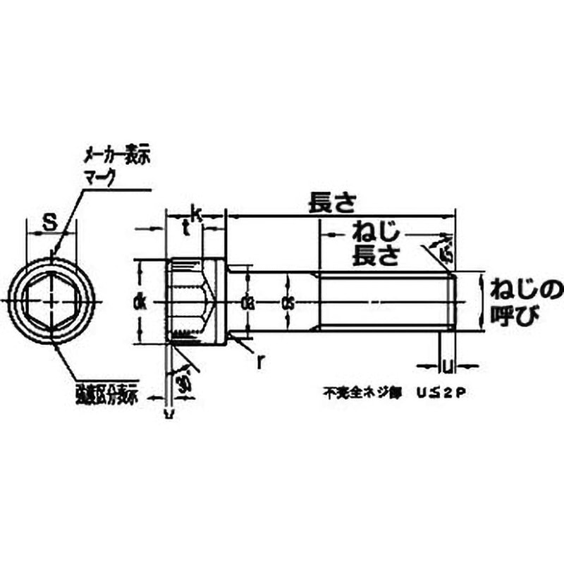 法螺貝 約37㎝ 木製歌口,赤紐付　新品　 MH-445 法螺貝 約37㎝ 木製歌口 赤紐付 新品 MH-411