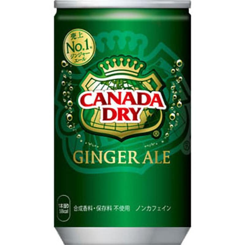 44905 カナダドライジンジャエール 1ケース(160mL×30本) コカ・コーラ 【通販サイトMonotaRO】