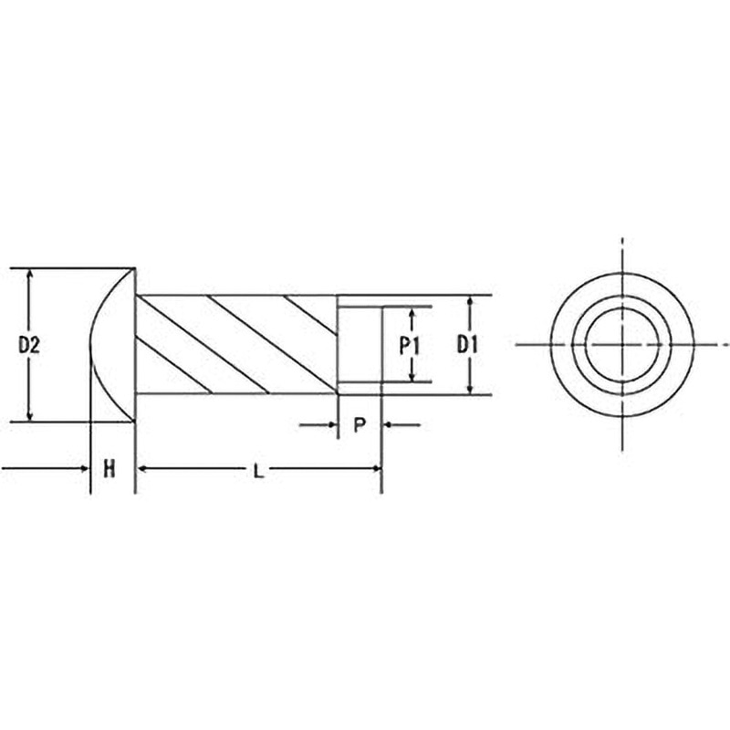 2×4.8 黄銅 パーカー鋲(黄銅 /生地)(小箱) 大阪魂 長さ4.8mm 1箱(1000