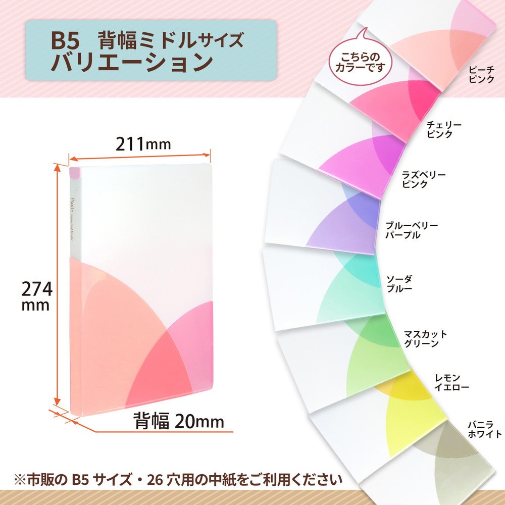 HANSON　2000年来日　ルーズリーフバインダー FC-800PR (98800) Pasty (パスティ) ルーズリーフバインダー B5