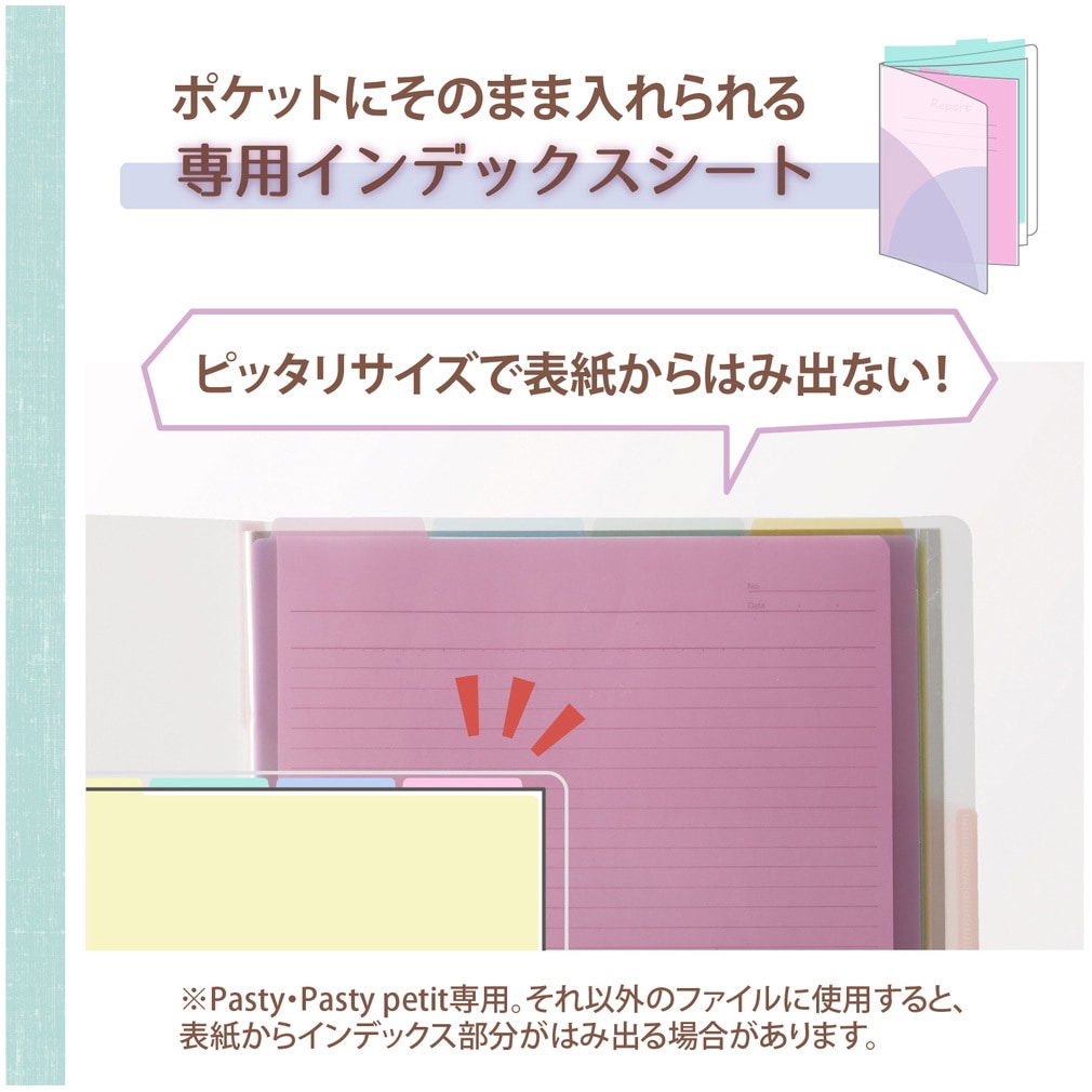 FL-430P4 (98430) Pasty (パスティ) インデックスシート PLUS(プラス