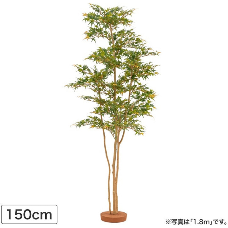 GD-242S 人工植物 夏もみじ 鉢無 1台 タカショー 【通販モノタロウ】