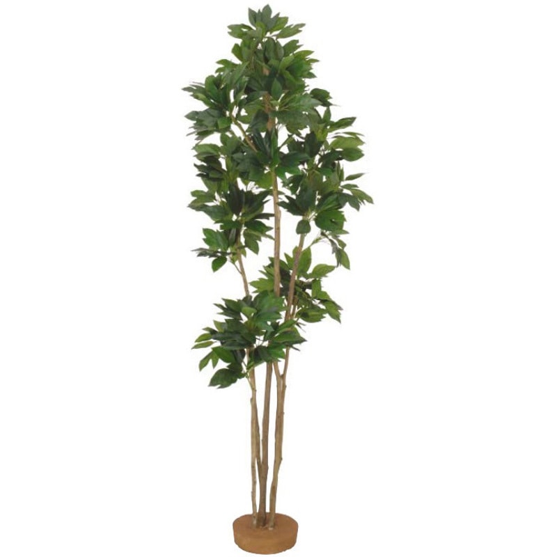 GD-67 人工植物 カクレミノ   鉢無 1.8m 1台 タカショー 【通販モノタロウ】