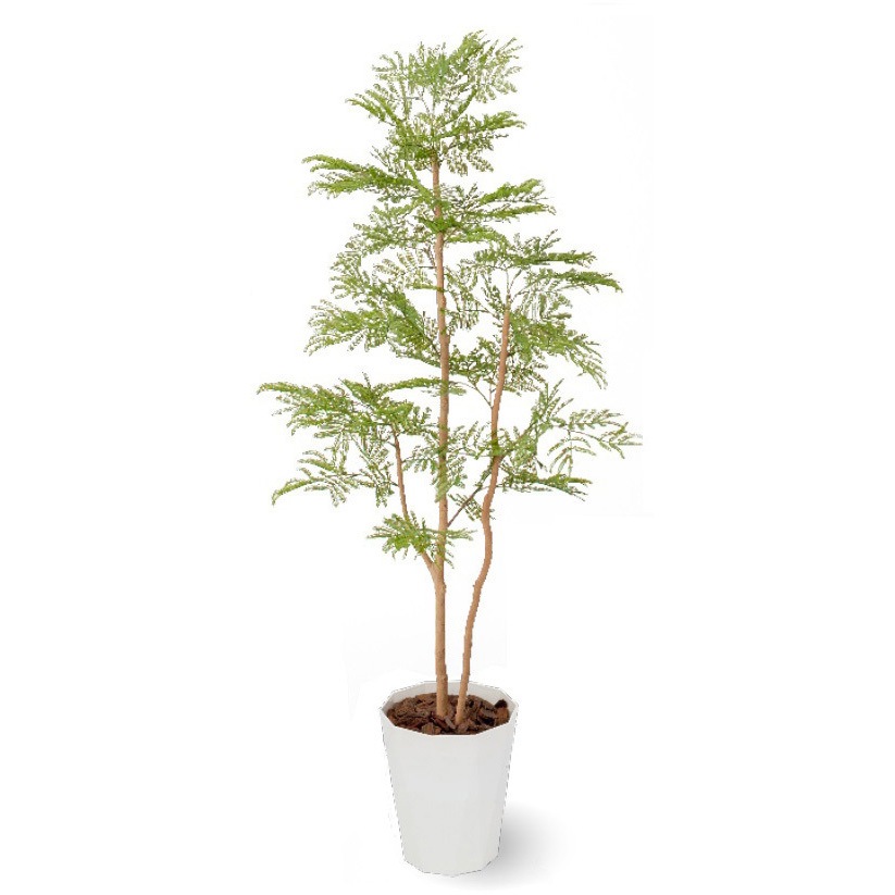 GD-238 人工植物 エバーフレッシュ   鉢付 1.5m 1個 タカショー 【通販モノタロウ】