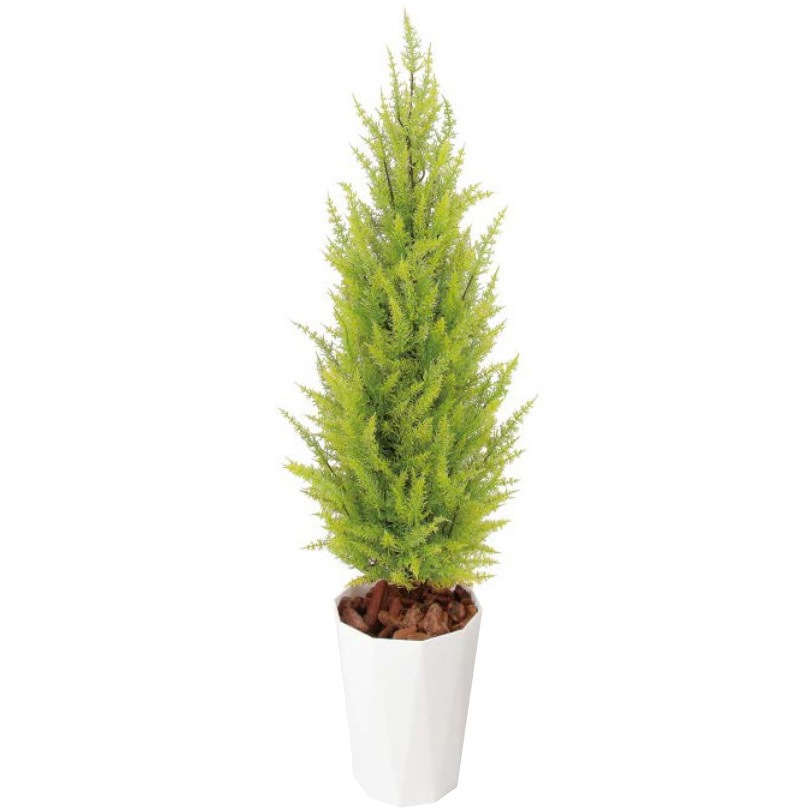 GD-188L 人工植物 ゴールドクレスト ゴールド 1鉢 タカショー 【通販モノタロウ】