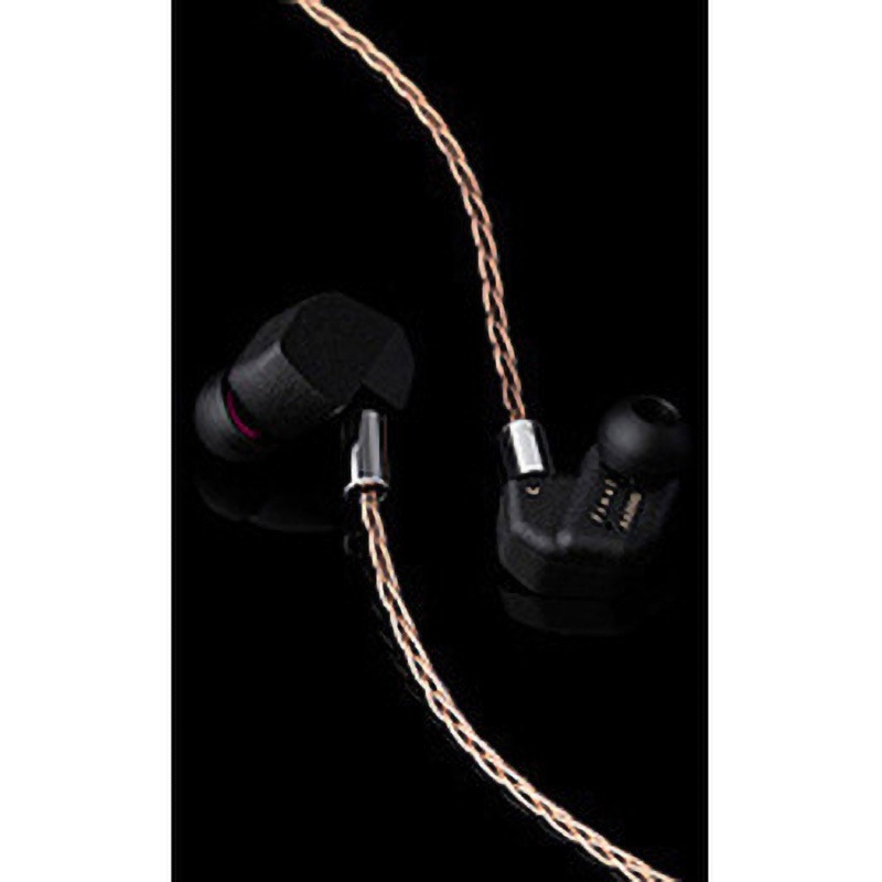 A6000 イヤホン カナル型 リケーブル 2Pin対応 1台 FINAL 【通販