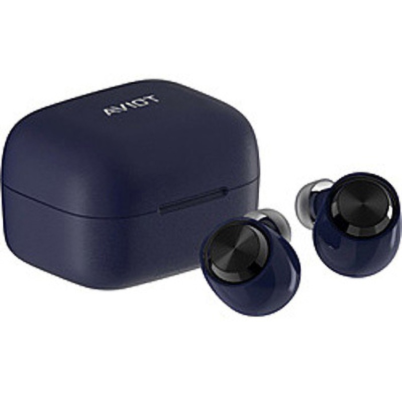 TE-A1-NV 完全ワイヤレスイヤホン AVIOT 色NV   TE-A1-NV