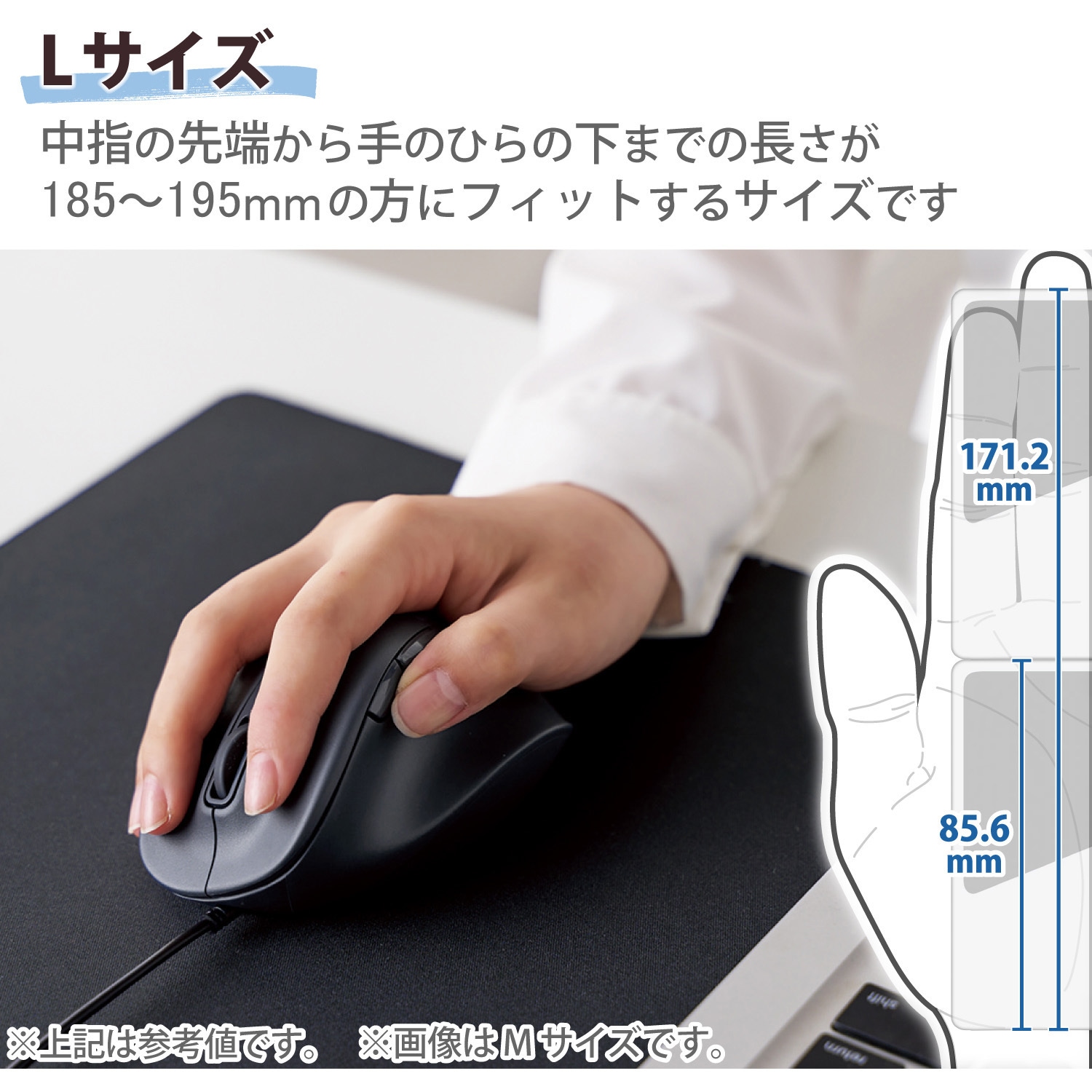 M-XGL30UBSKBK マウス 有線 静音 5ボタン 右手専用 抗菌 Lサイズ EX-G