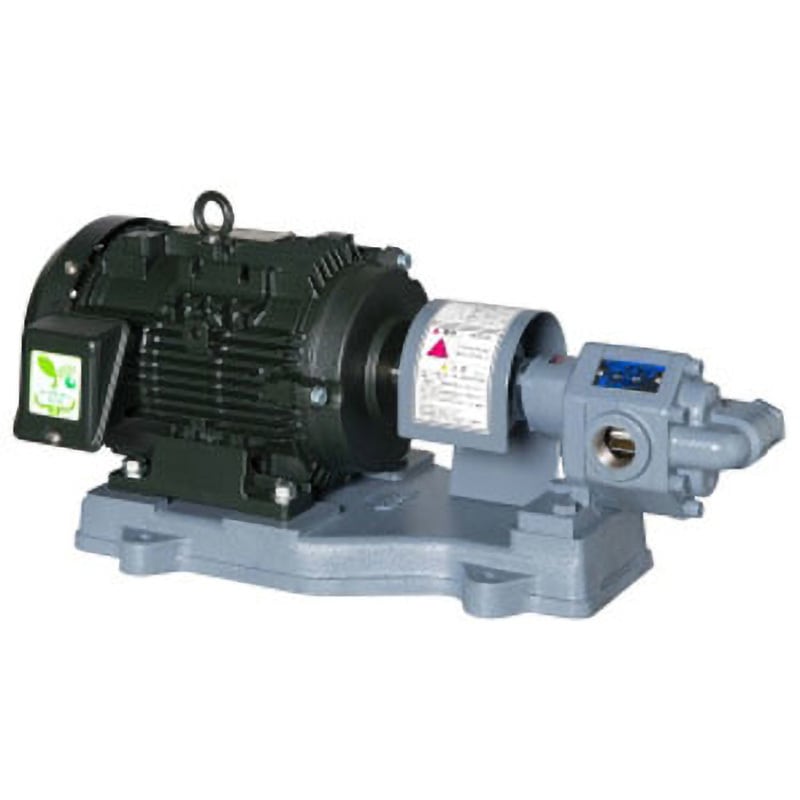 20GPF5.75B GP型 歯車ポンプ 1台 エバラポンプ(荏原製作所) 【通販