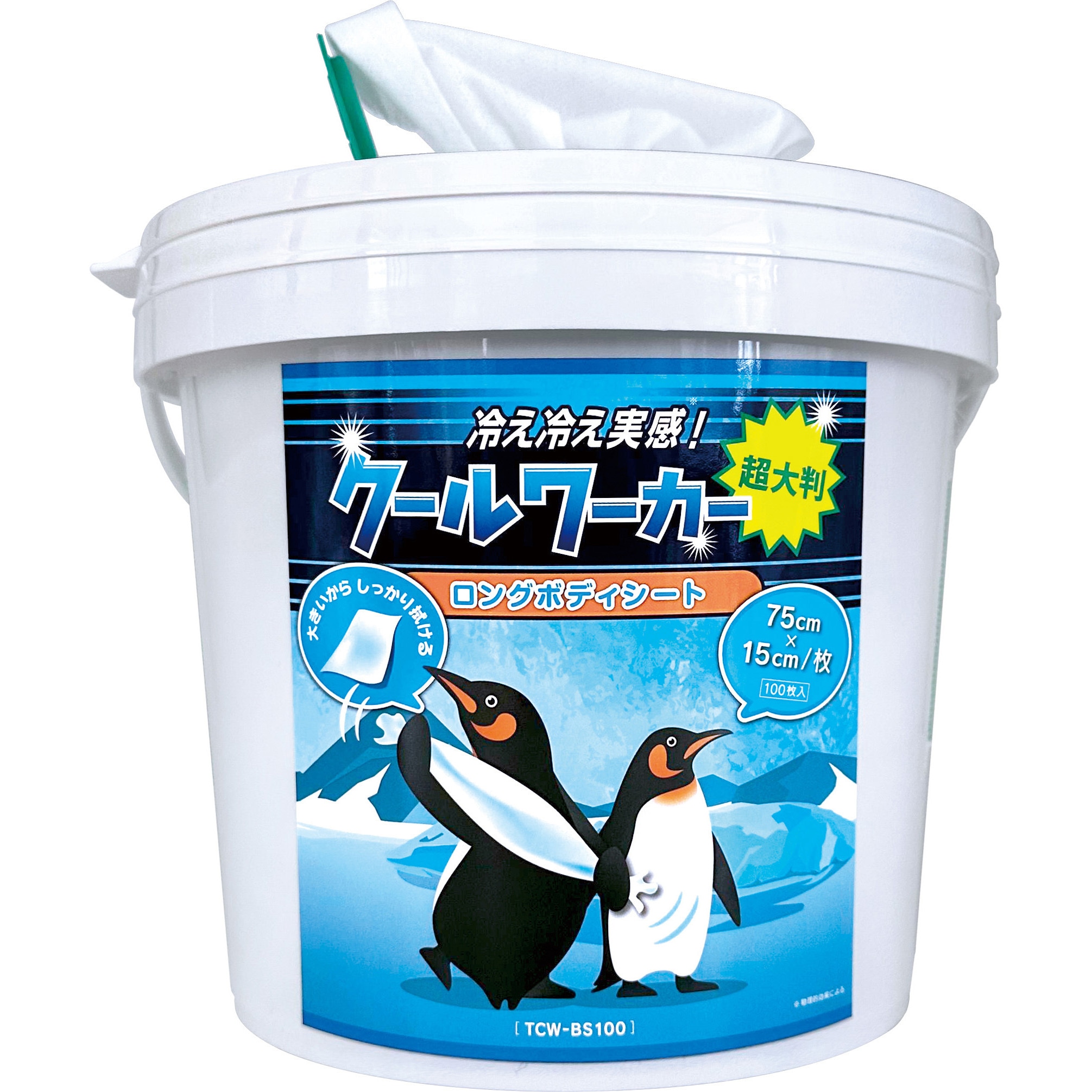 TCW-BS100 クールワーカー 東神電気 無香料 内容100枚(1600mL) 寸法15