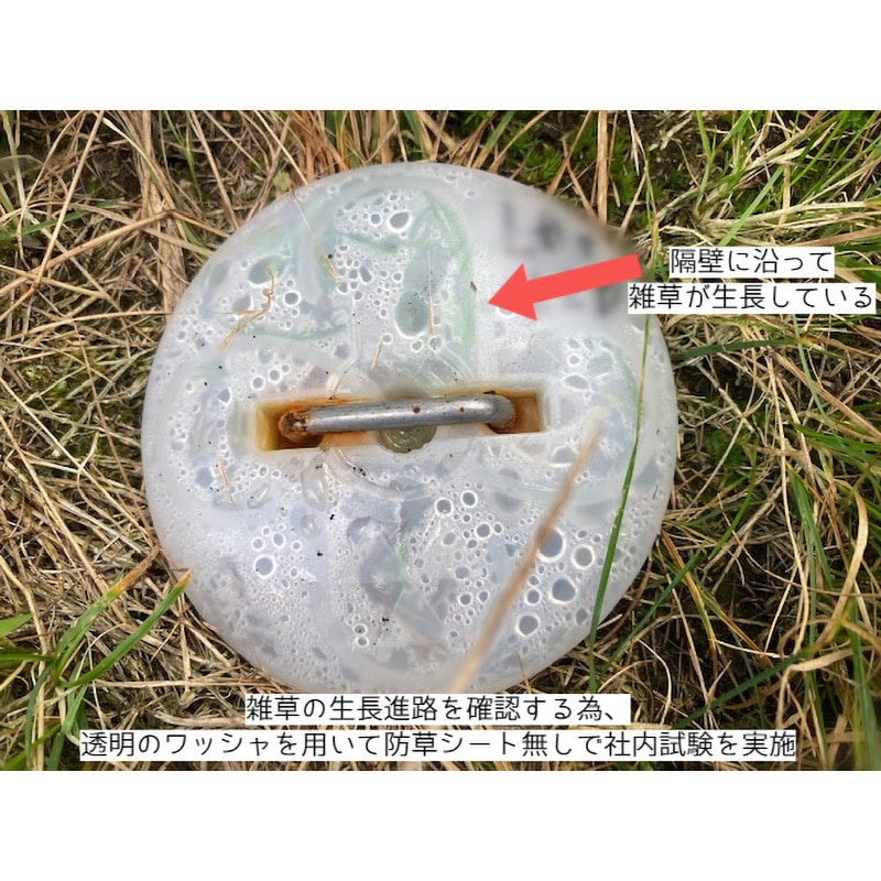 11999436 ドーム型ワッシャー 【裏面隔壁つき】 小泉製麻 ダーク